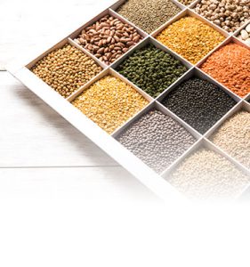 PT Alvindo - Feed Ingredients Company in Indonesia